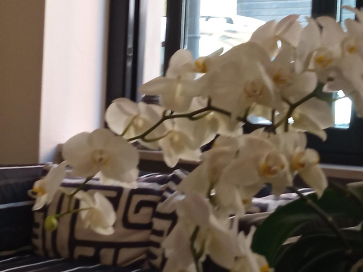 Hotel Touring Livorno Bagian luar foto